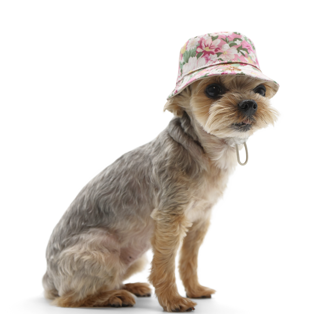 DOGO Blossom Dog Bucket Hat