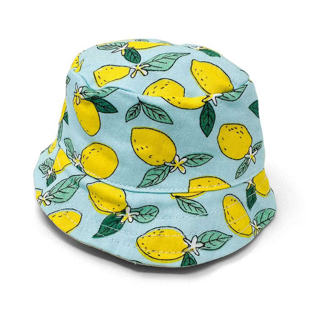 DOGO Lemon Blue Dog Bucket Hat