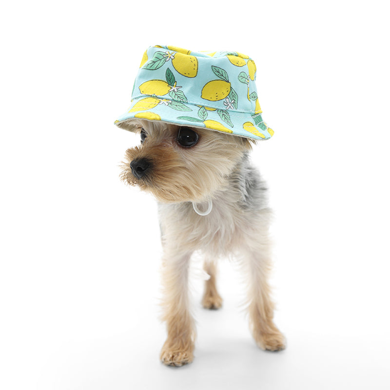 DOGO Lemon Blue Dog Bucket Hat