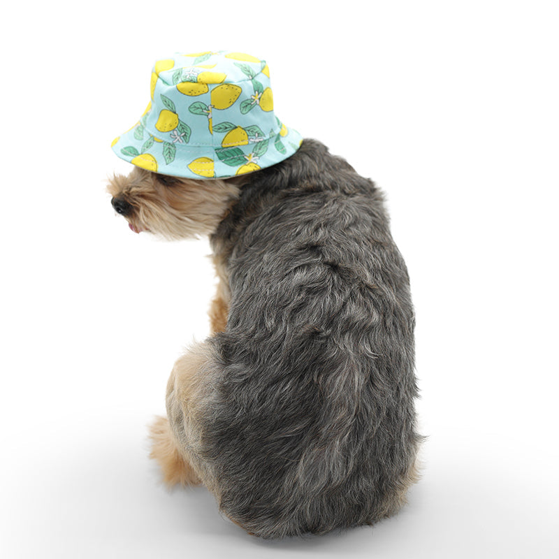 DOGO Lemon Blue Dog Bucket Hat