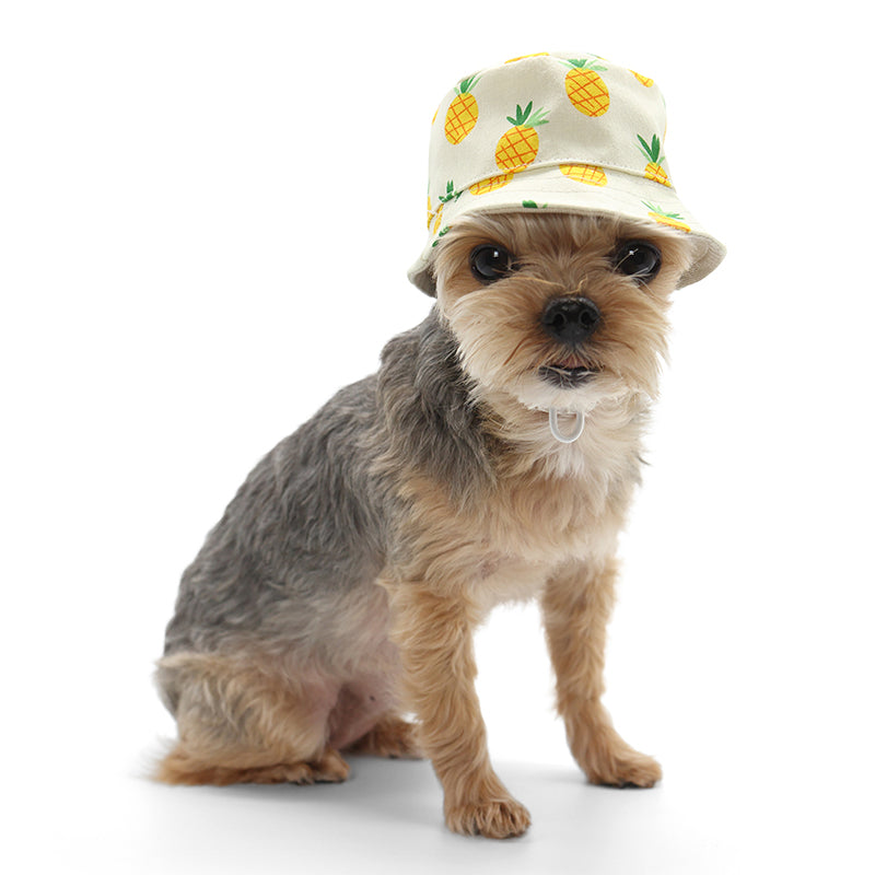 DOGO Pineapple Dog Bucket Hat