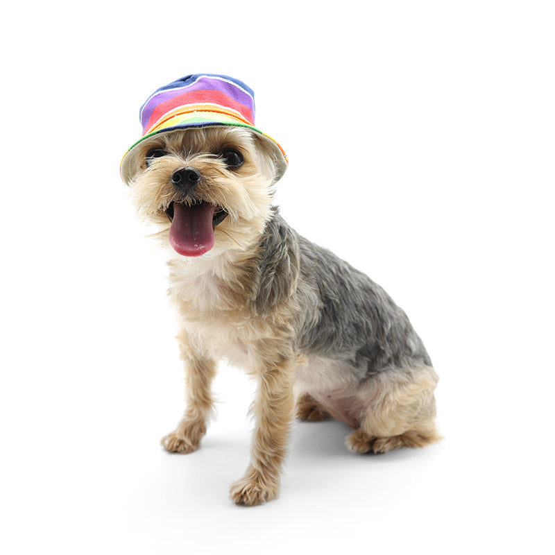 DOGO Rainbow Dog Bucket Hat