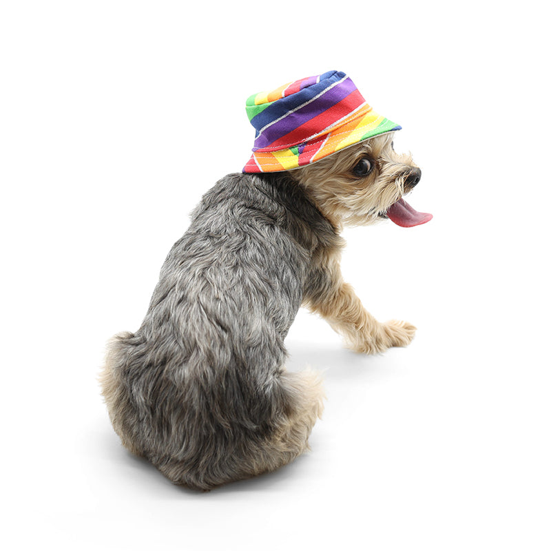 DOGO Rainbow Dog Bucket Hat