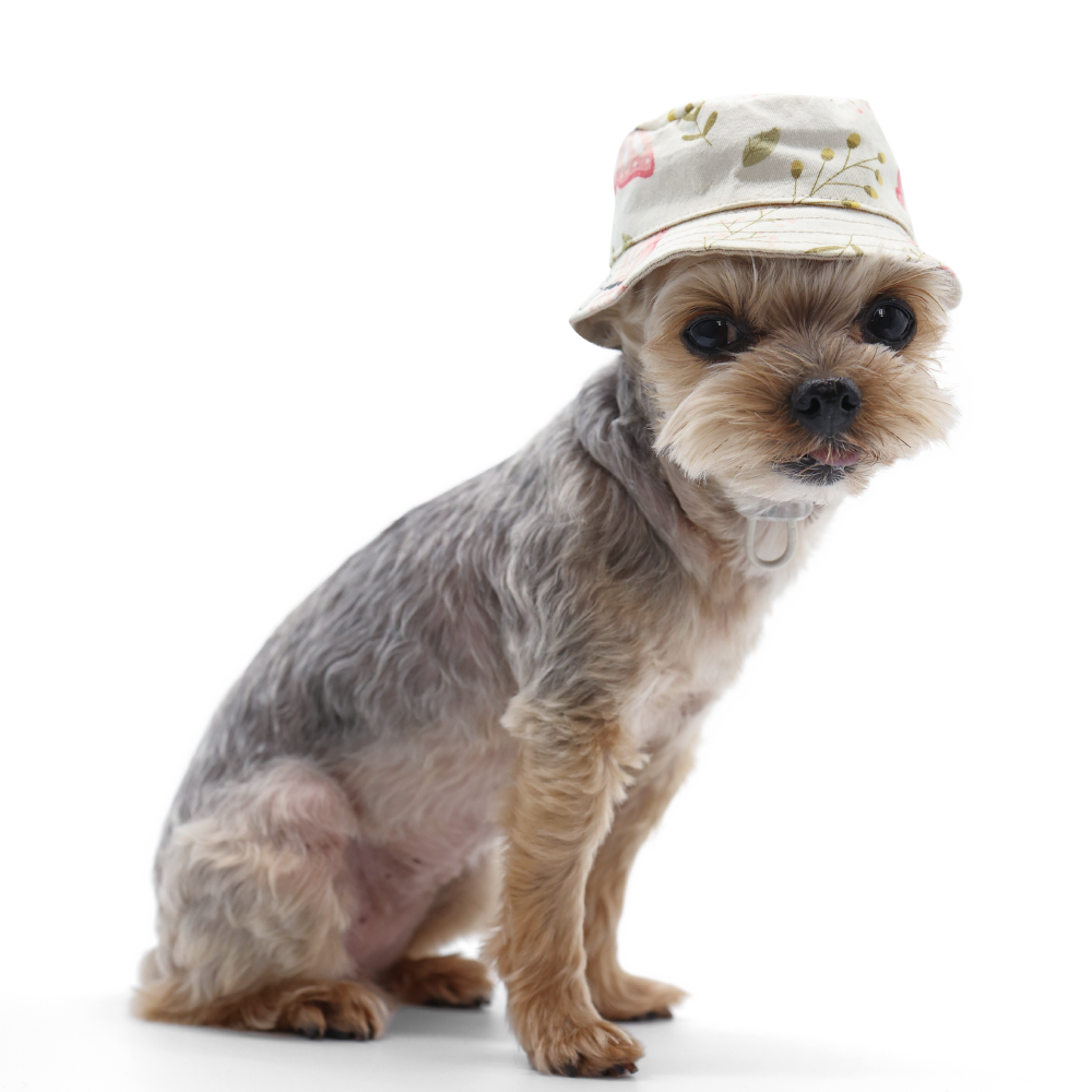 DOGO Butterfly Dog Bucket Hat