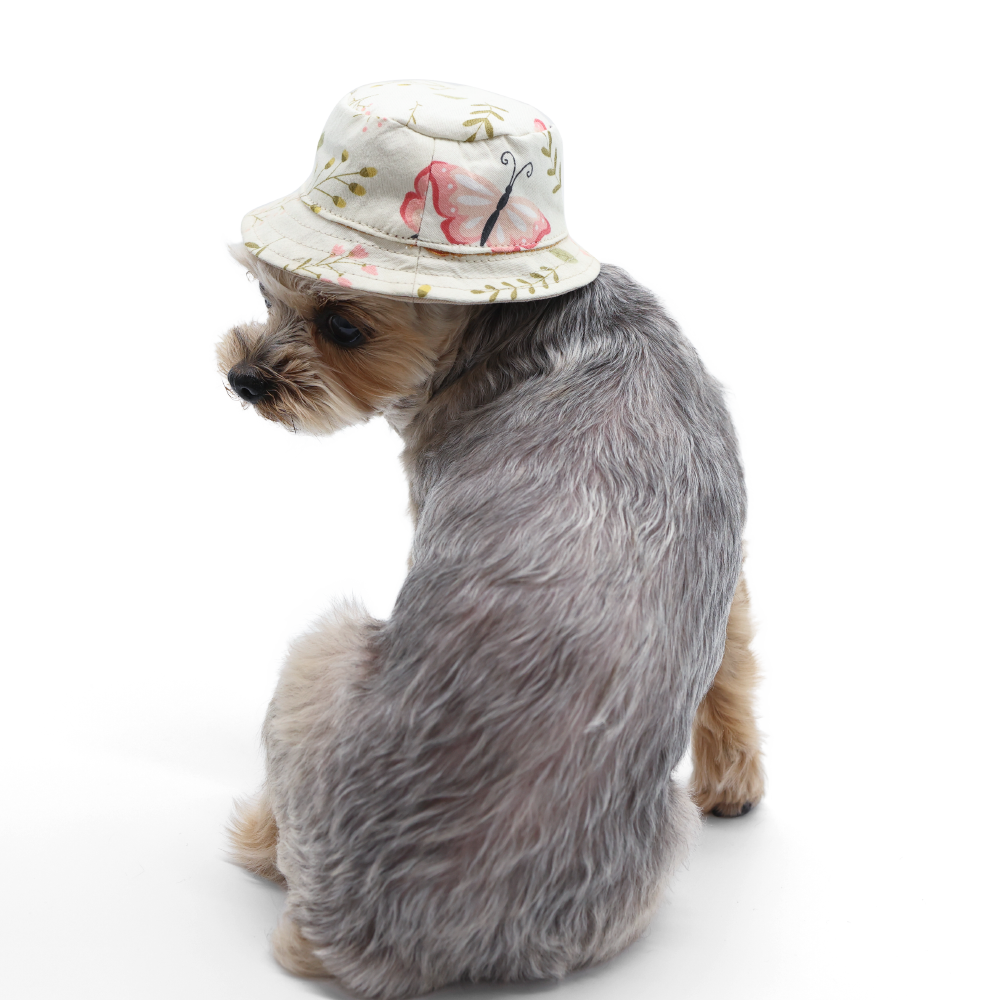 DOGO Butterfly Dog Bucket Hat