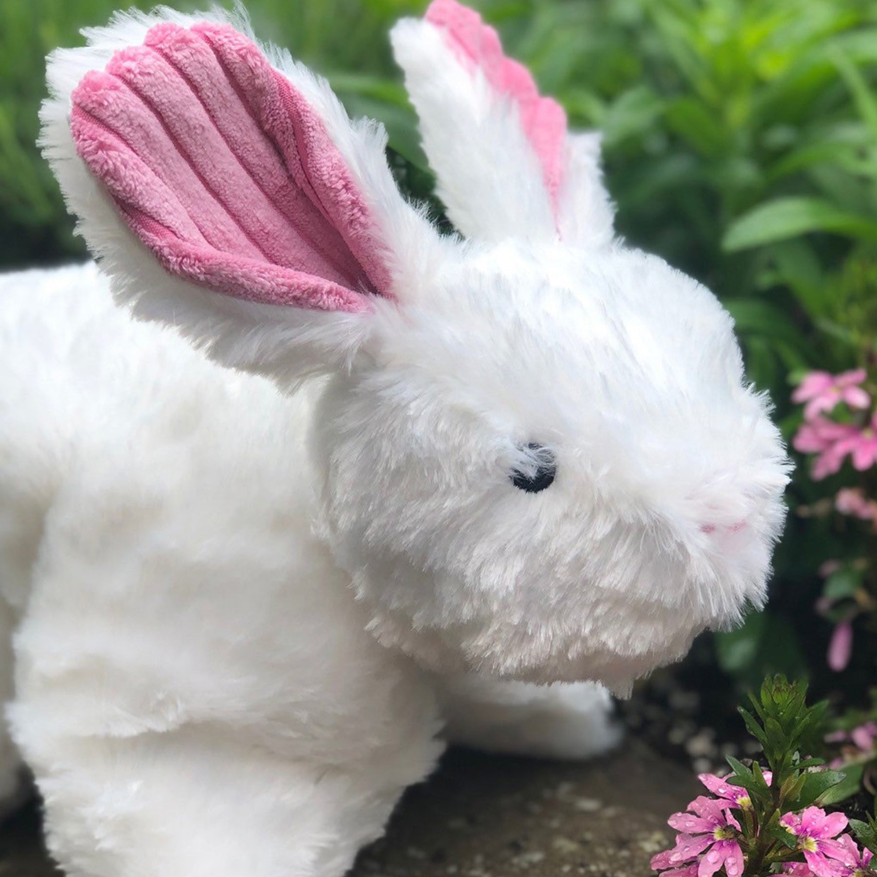 SquooshieTM Bunny Plush Dog Toy