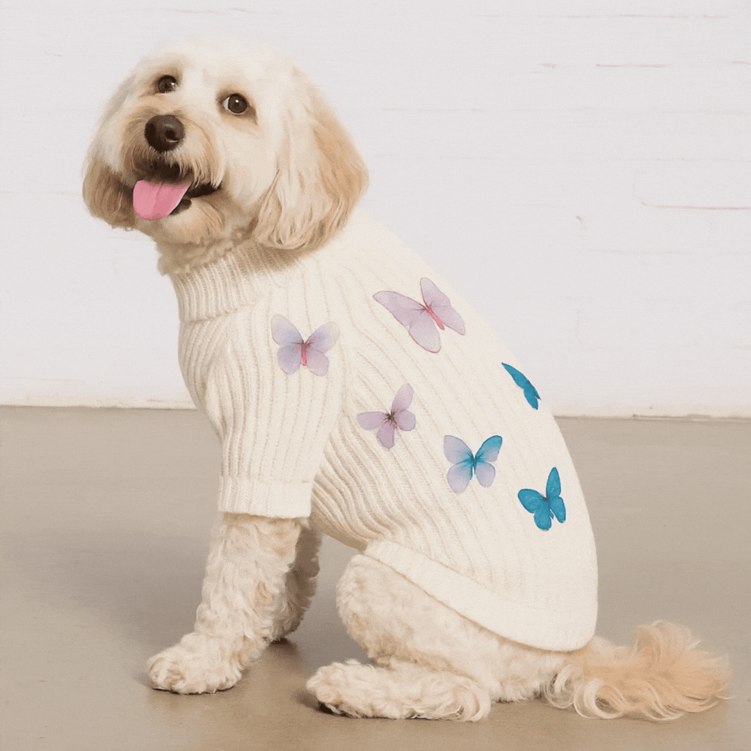 Dog Sweater - Butterfly 3D Icon | Found My Animal