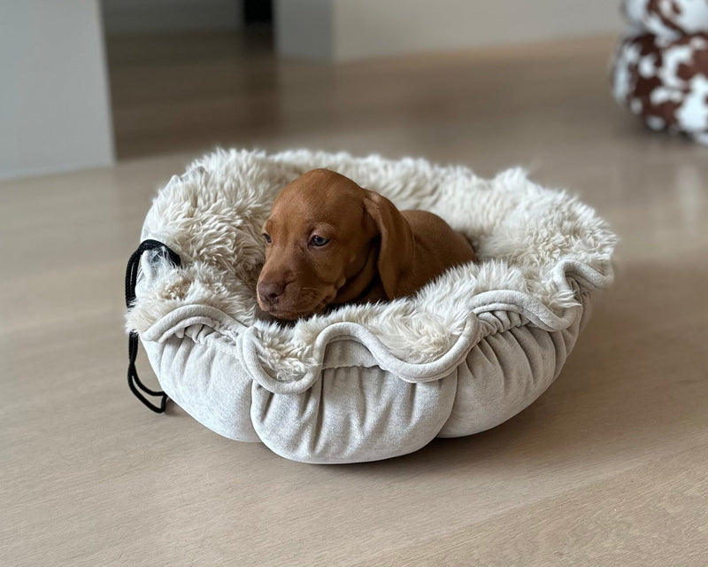 Bowsers Buttercup Cozy Pet Bed - Soft Nesting Comfort for Small Spaces