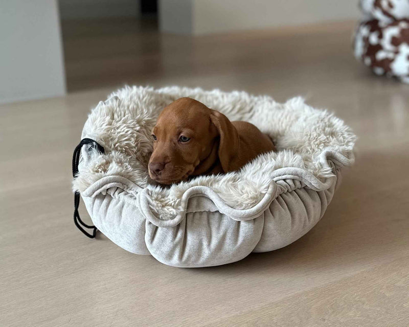 Bowsers Buttercup Cozy Pet Bed – Soft Nesting Comfort for Small Spaces