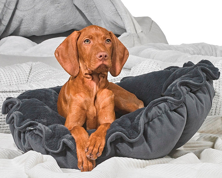Bowsers Buttercup Cozy Pet Bed - Soft Nesting Comfort for Small Spaces