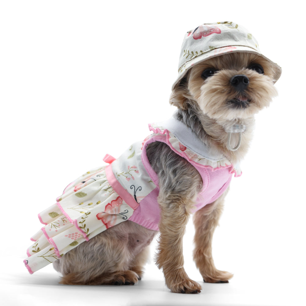 DOGO Butterfly Dog Dress