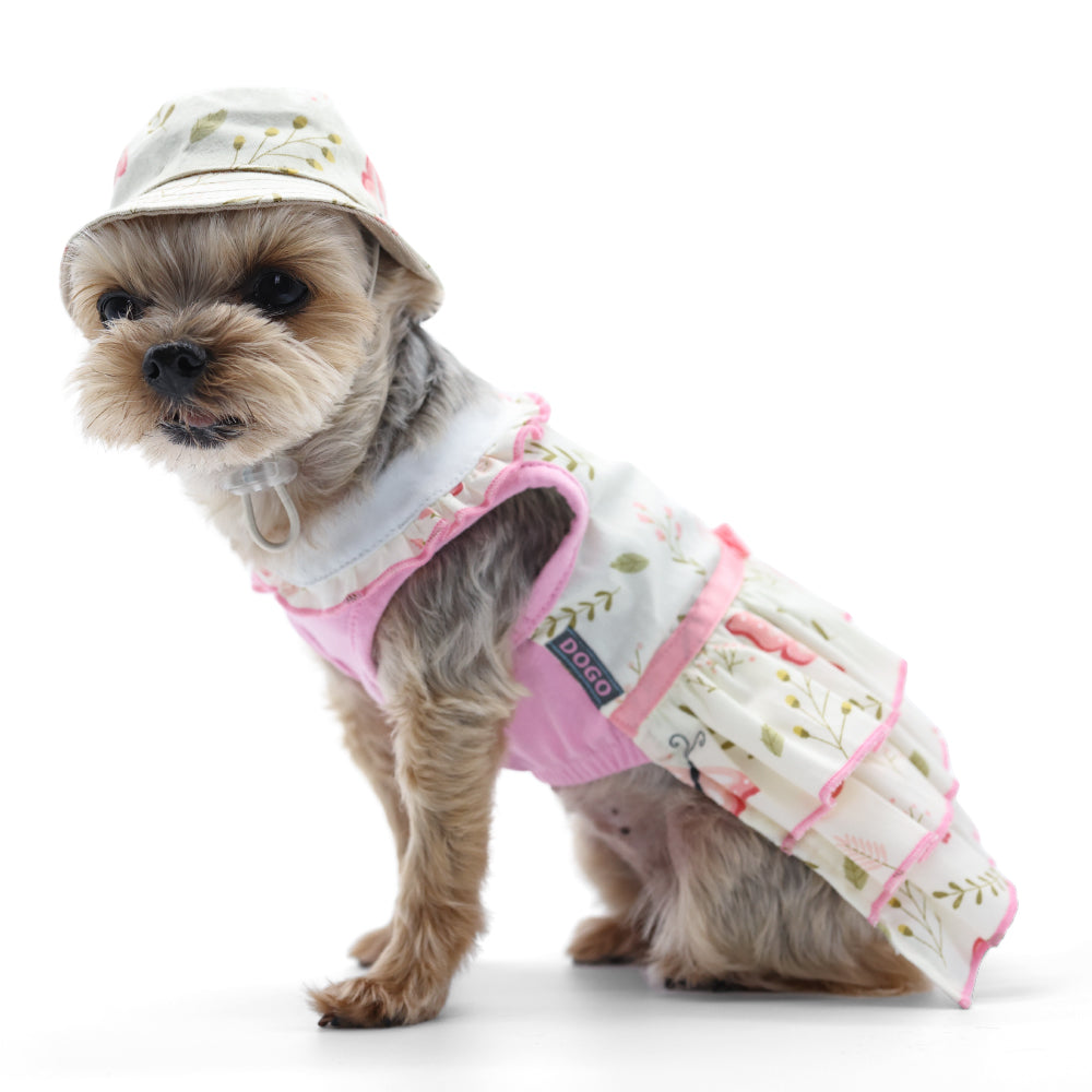 DOGO Butterfly Dog Dress