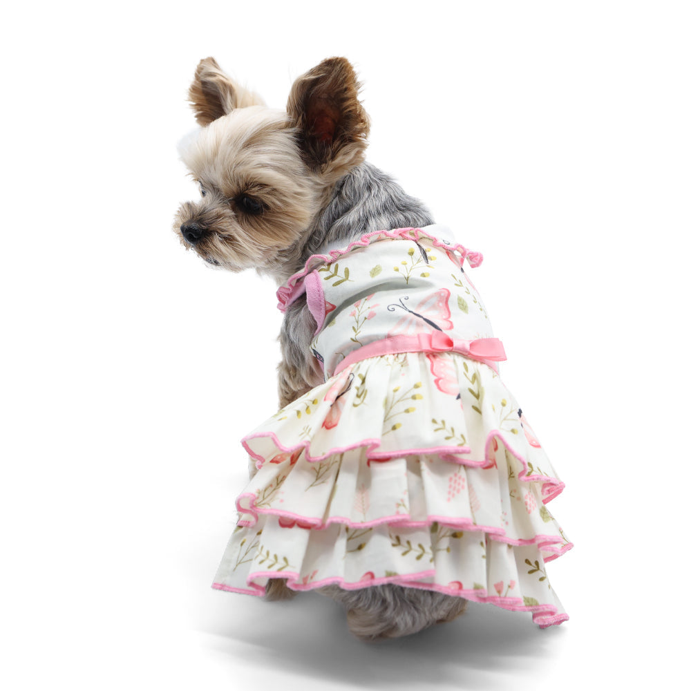 DOGO Butterfly Dog Dress