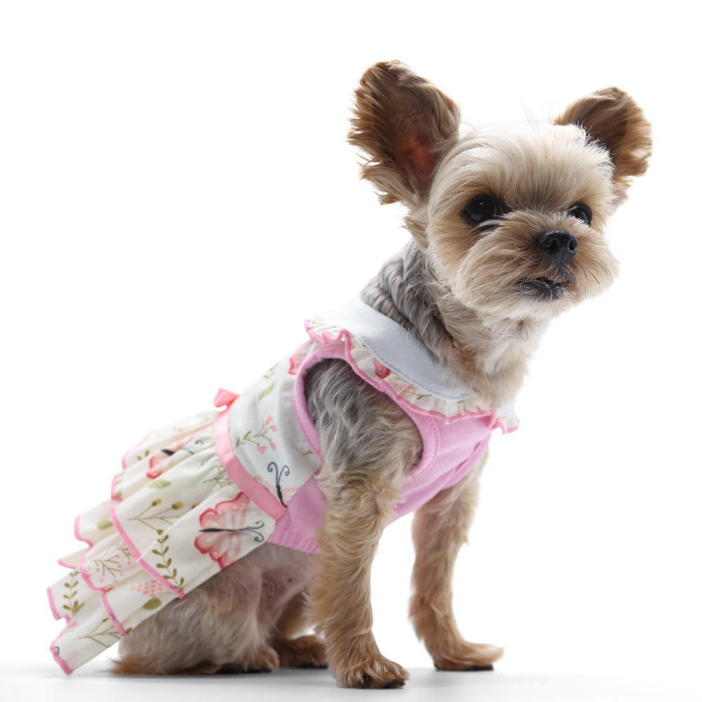DOGO Butterfly Dog Dress