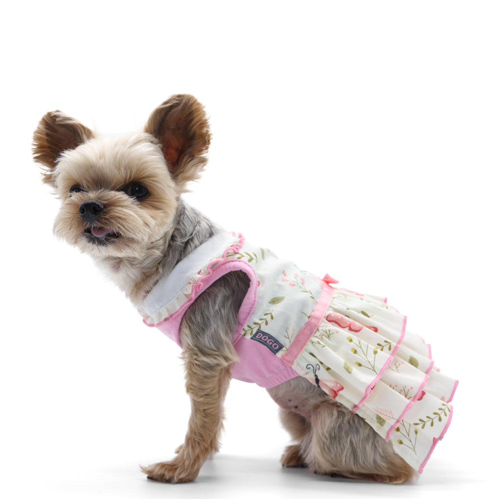 DOGO Butterfly Dog Dress