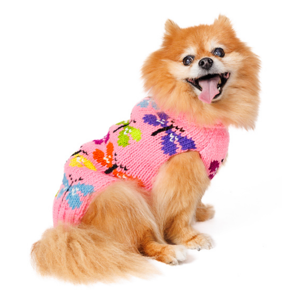 Chilly Dog Butterfly Wool Dog Sweater