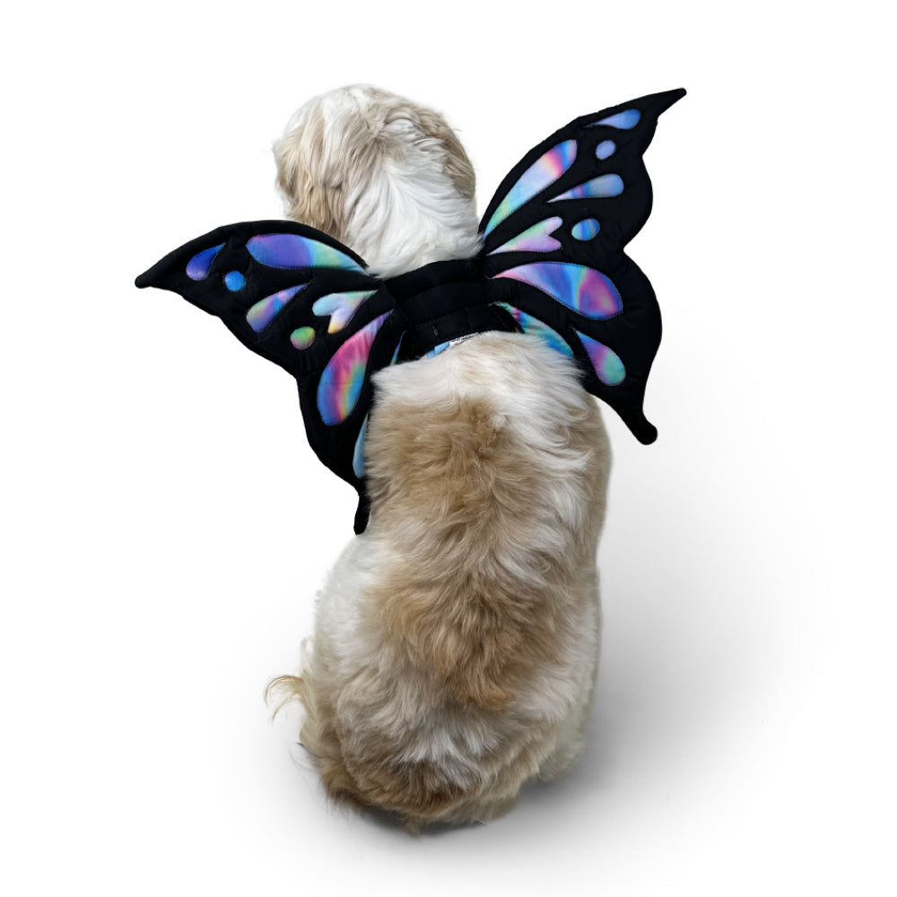DOGO Butterfly Dog Costume Wings