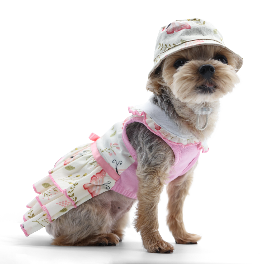 DOGO Butterfly Dog Bucket Hat