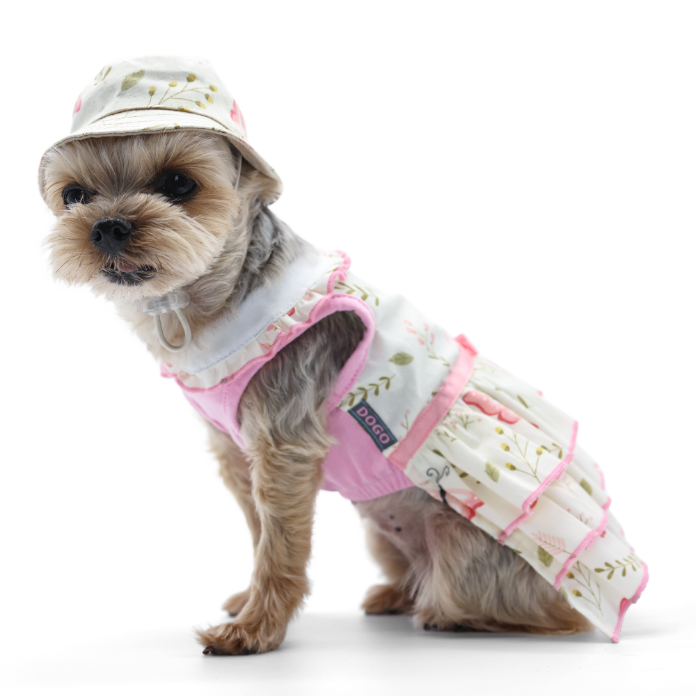 DOGO Butterfly Dog Bucket Hat