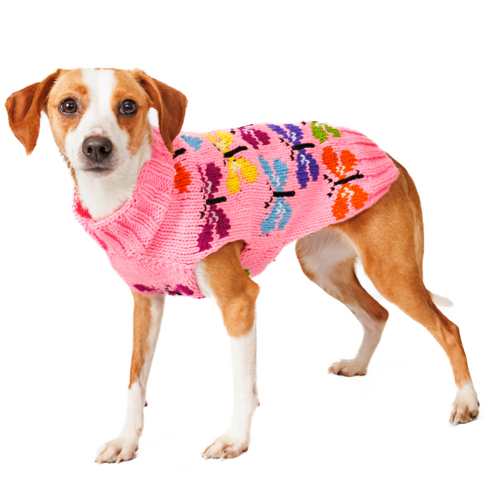 Chilly Dog Butterfly Wool Dog Sweater