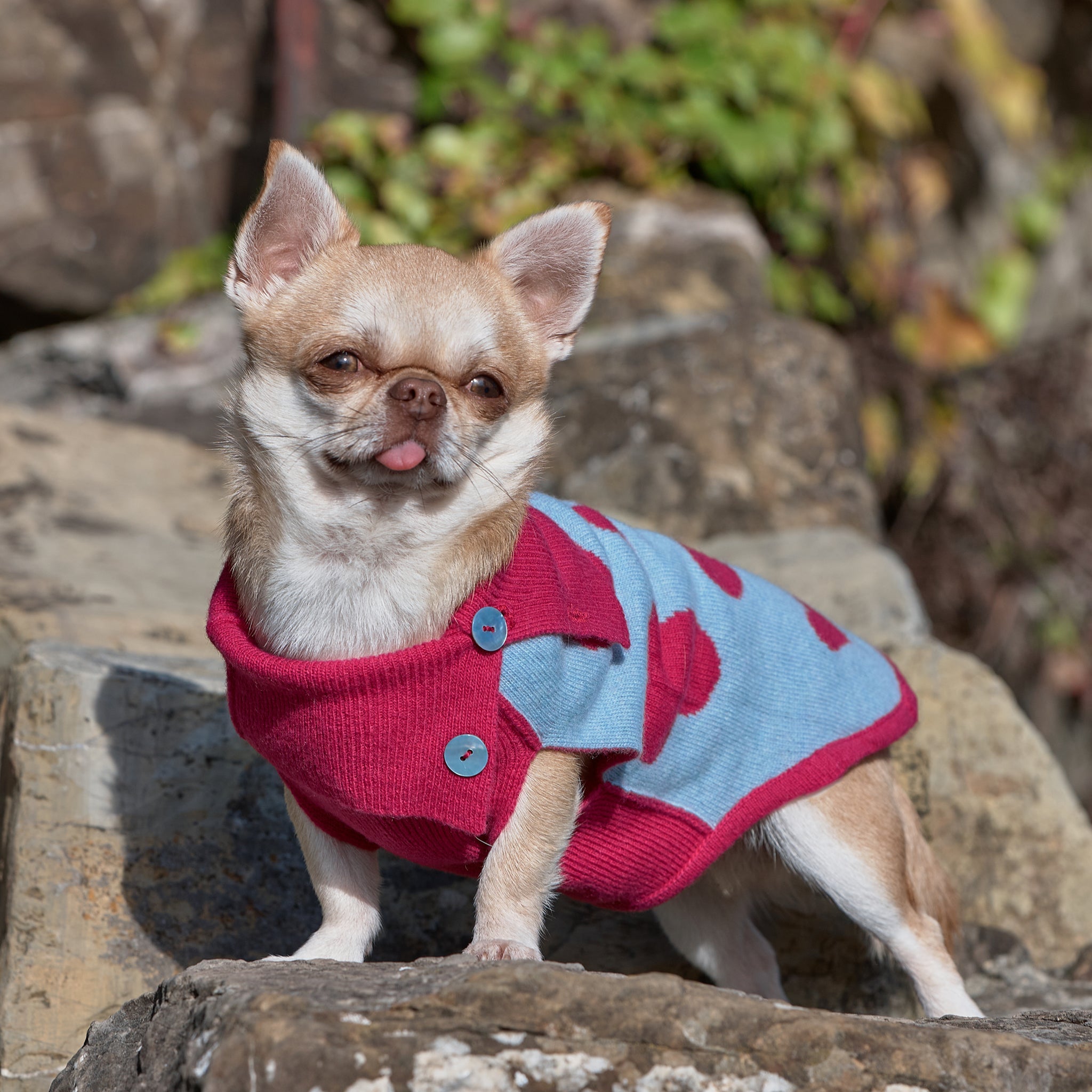 Begonia Cuore-Knitwear