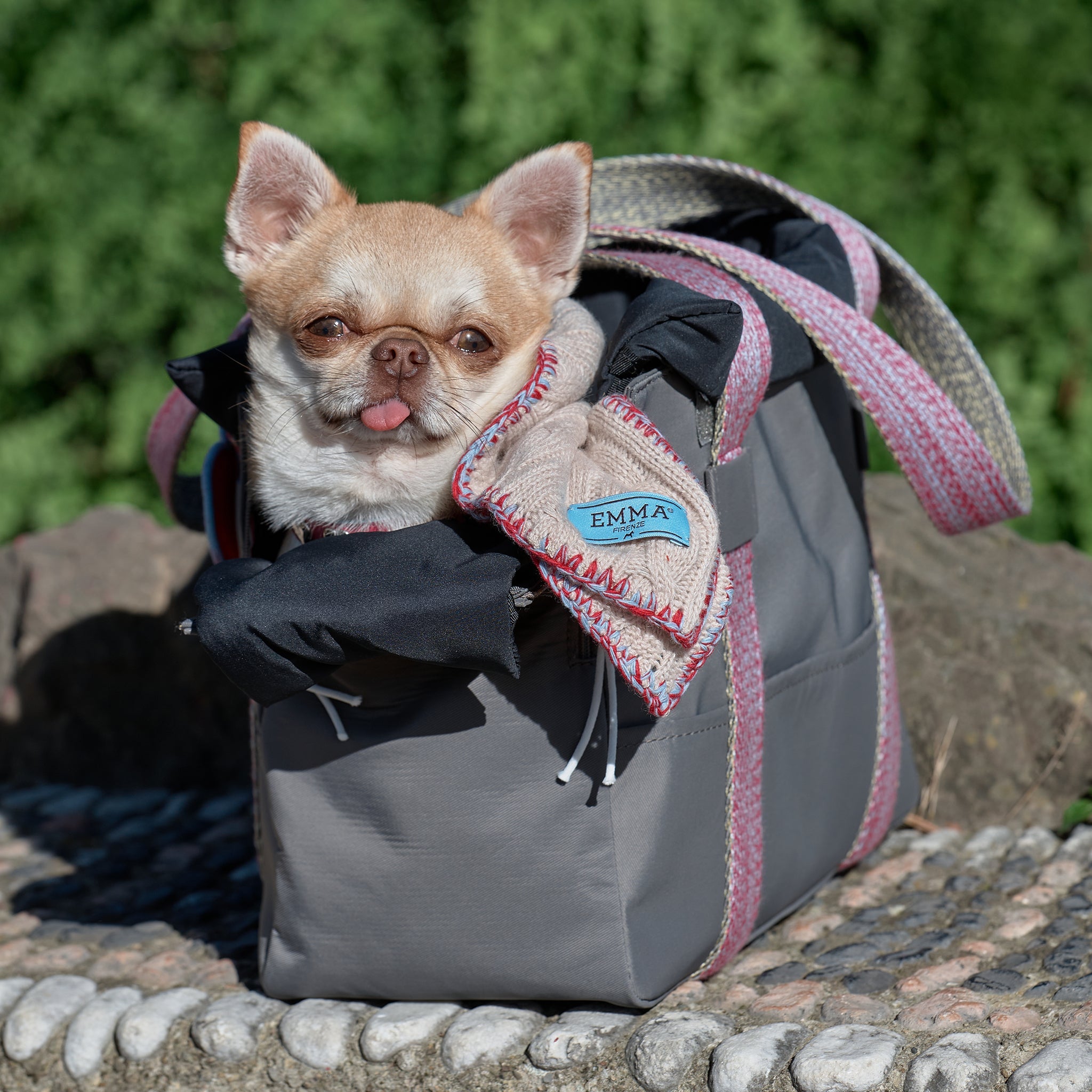 Cuore Plaid - Begonia/Pale Blue