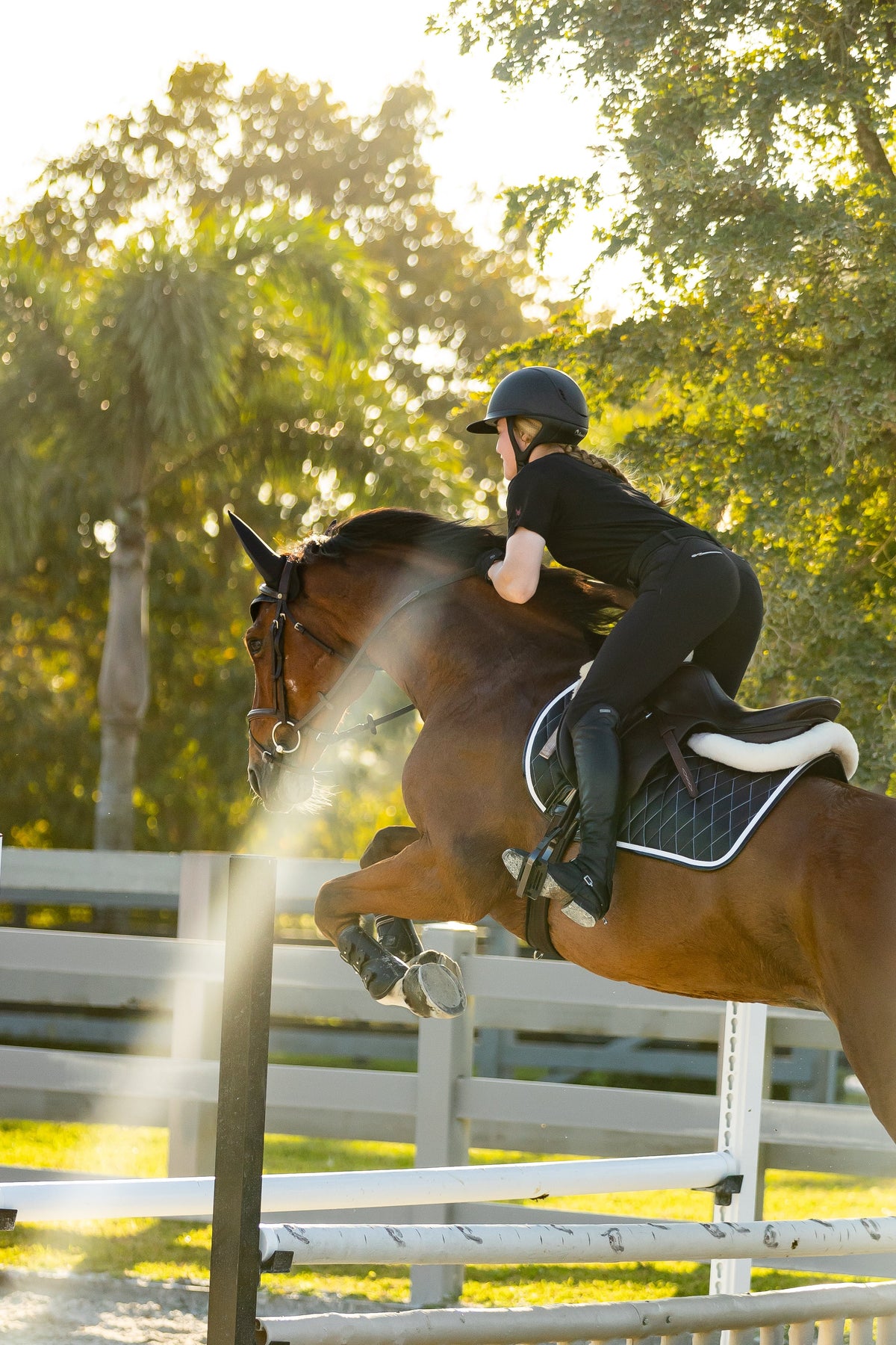 San Eligius black quilted jump saddle pad with white and black crocodile piping, flat lay front view