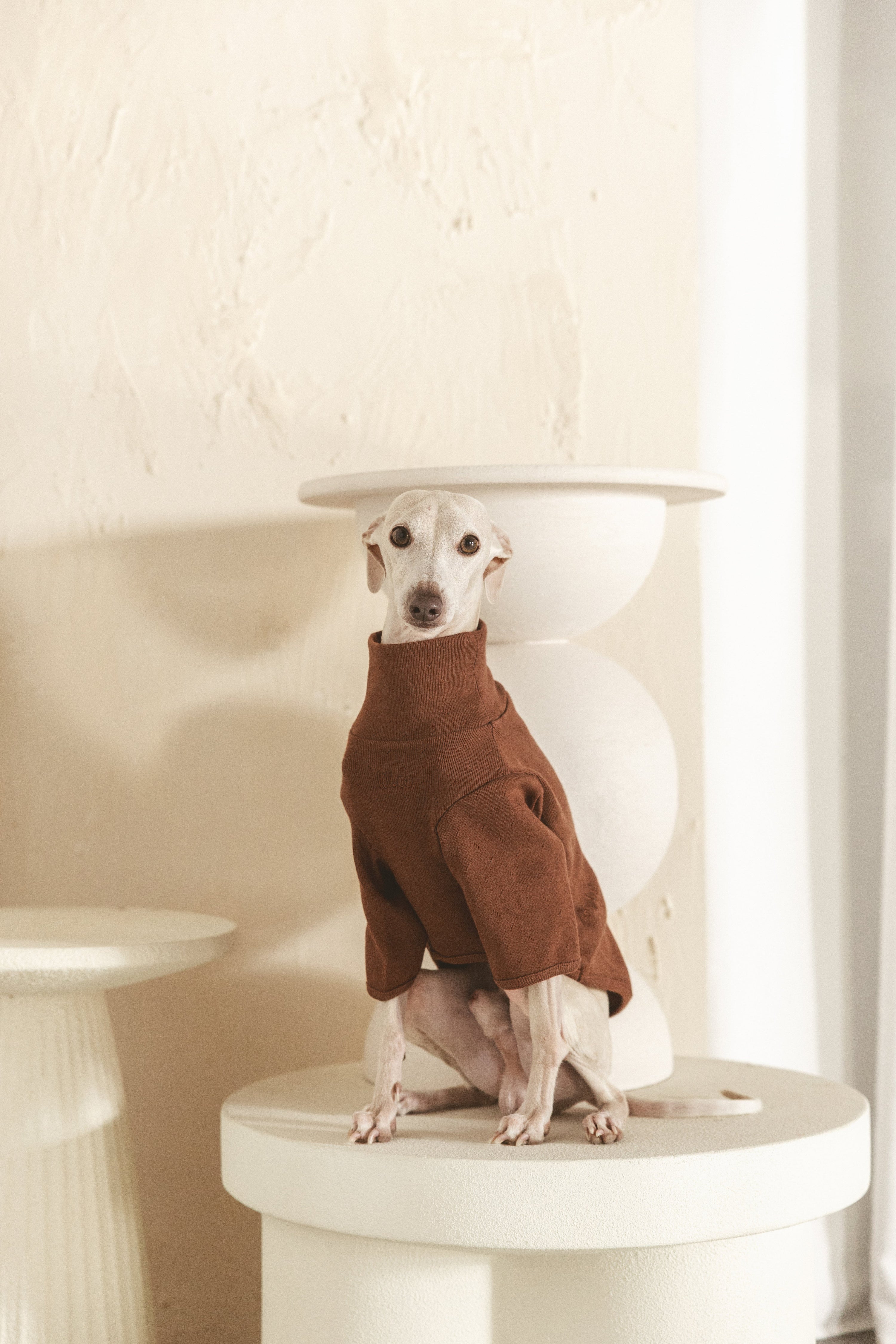 The Heirloom Turtleneck