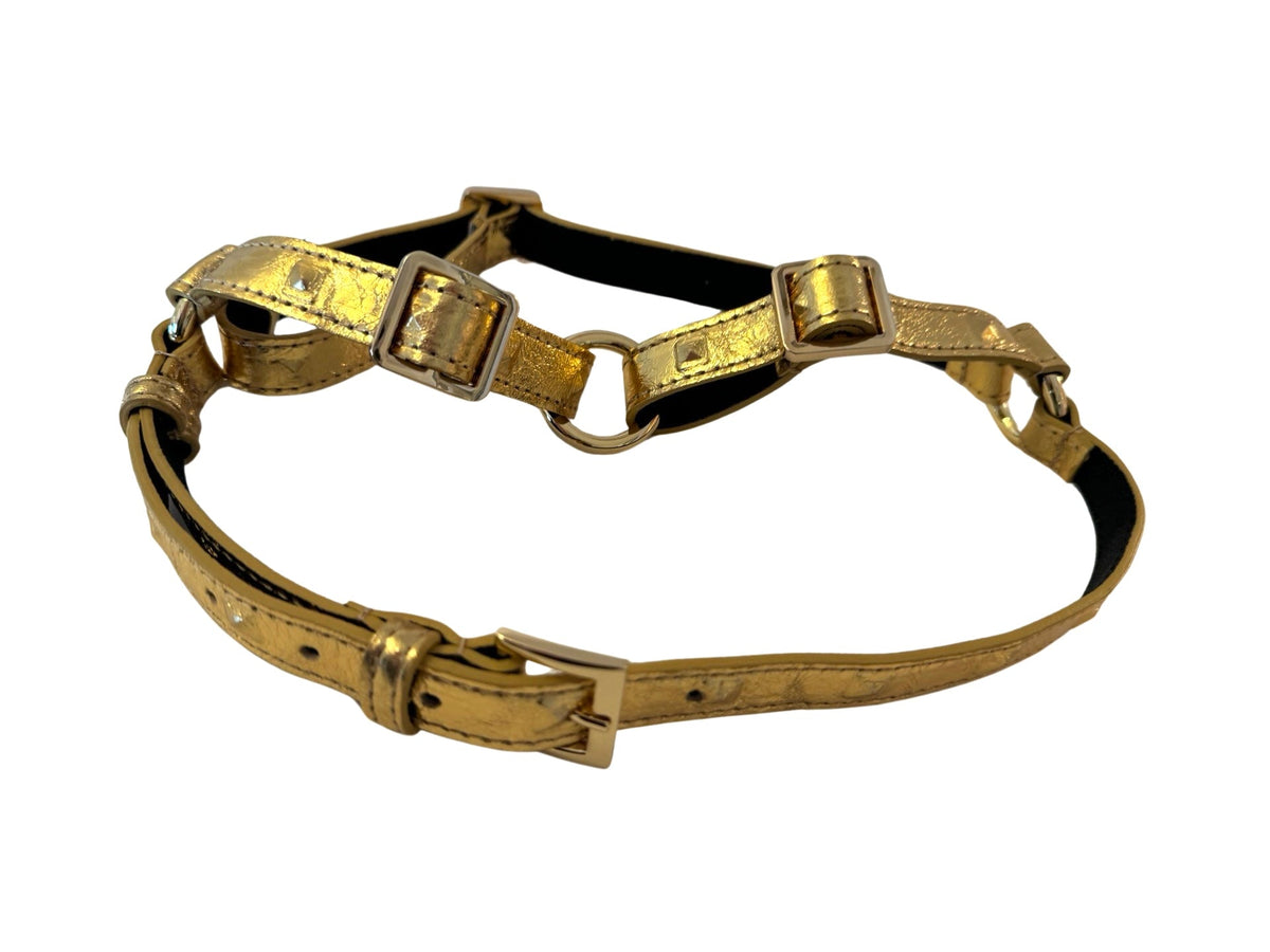 Allysa Payne Glam Gold Embossed Studded Italian Leather Dog Harness