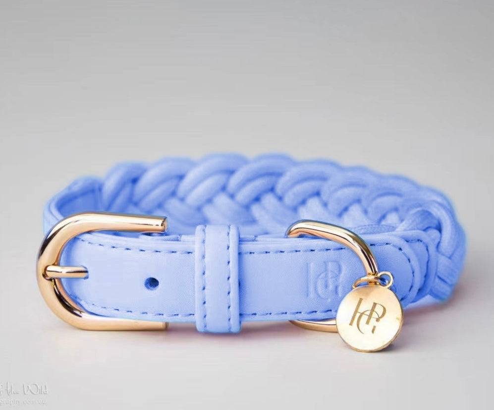 HGP- Dog Collar - Periwinkle- Plaited
