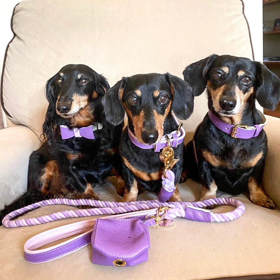 Collar - Lavish Lavender