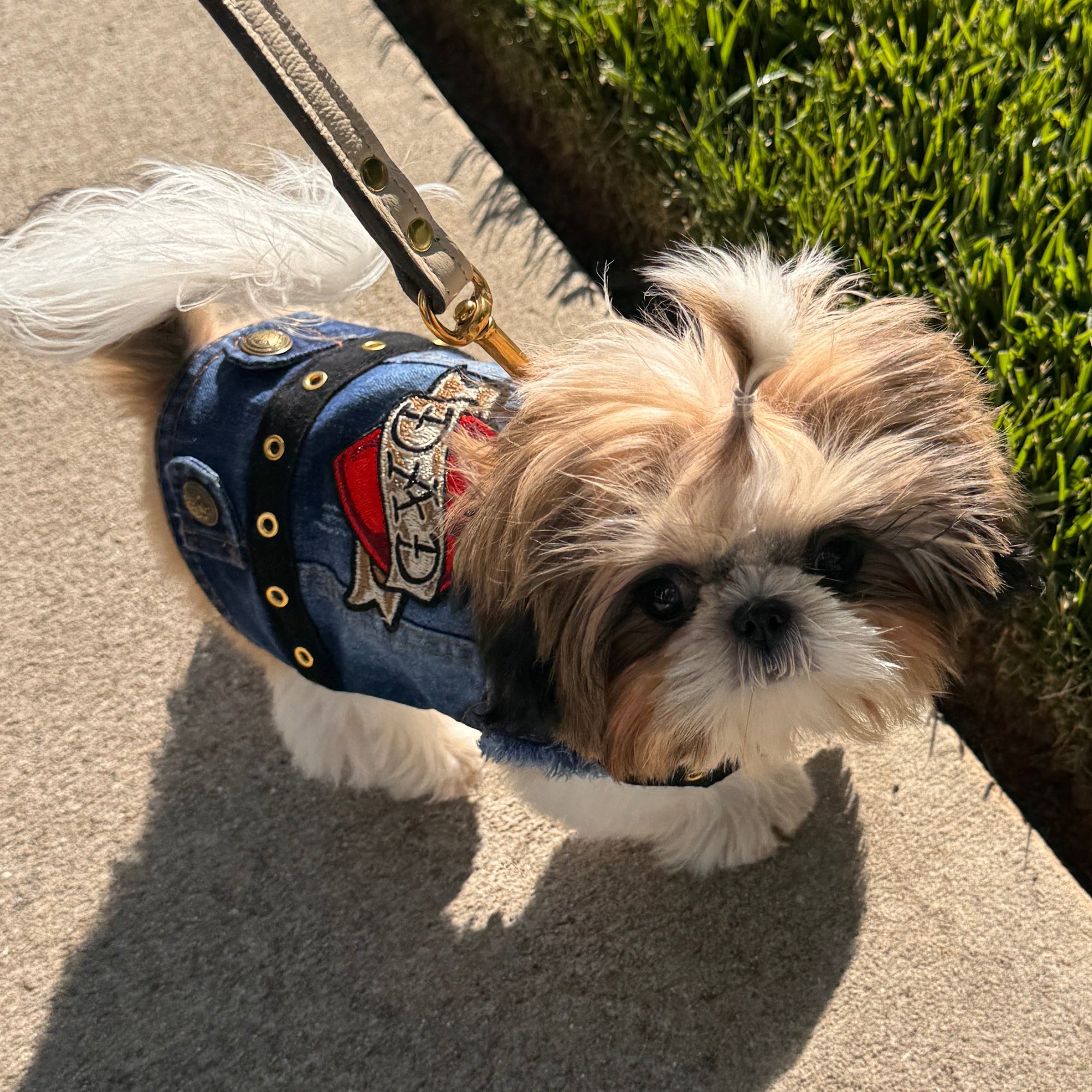 Heads or Tails Pup Love Mom Love Dad Denim Dog Vest