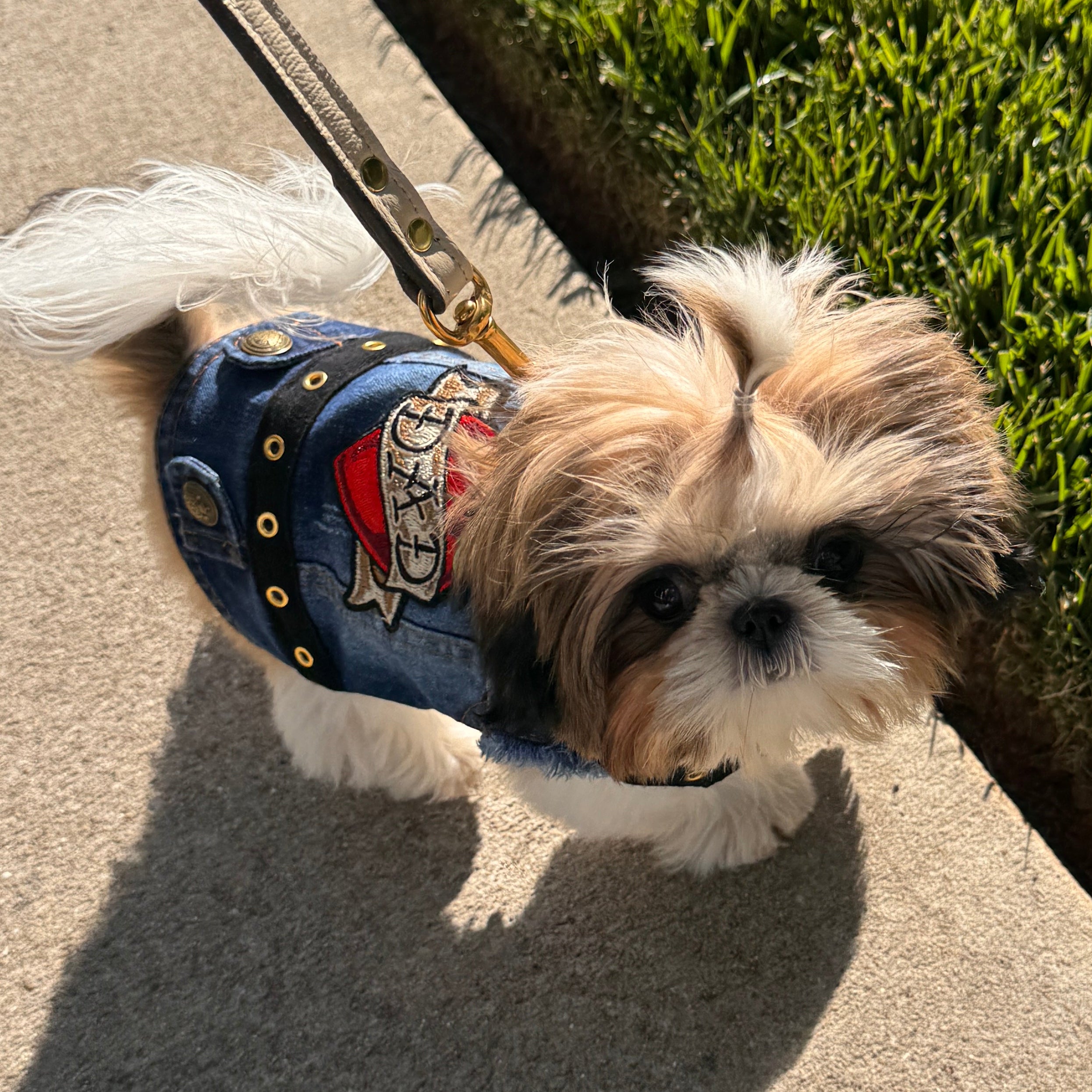Heads or Tails Pup Love Mom Love Dad Denim Dog Vest