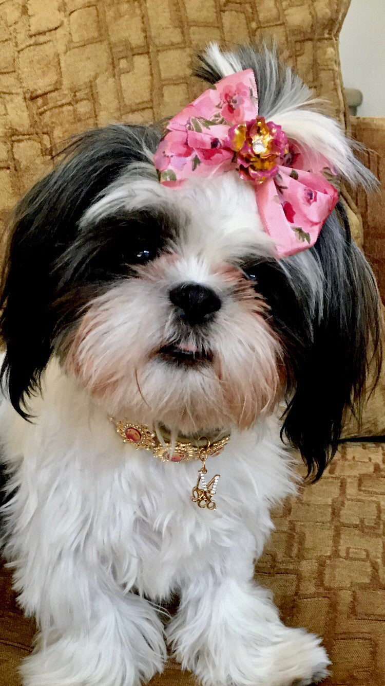 Formal Affair: Hope Gem Gem Necklace