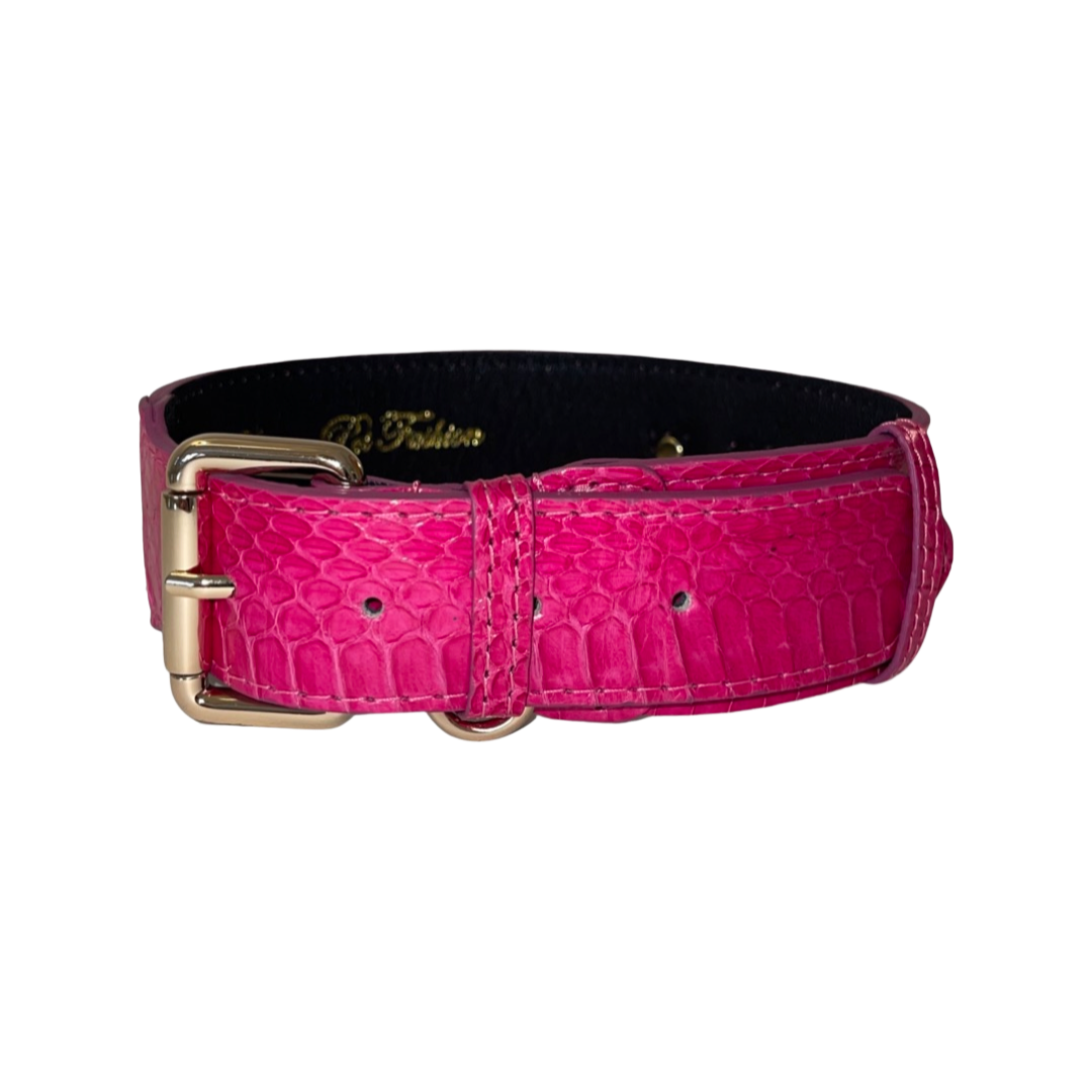 Allysa Payne Fuchsia Snake Classic Dog Collar