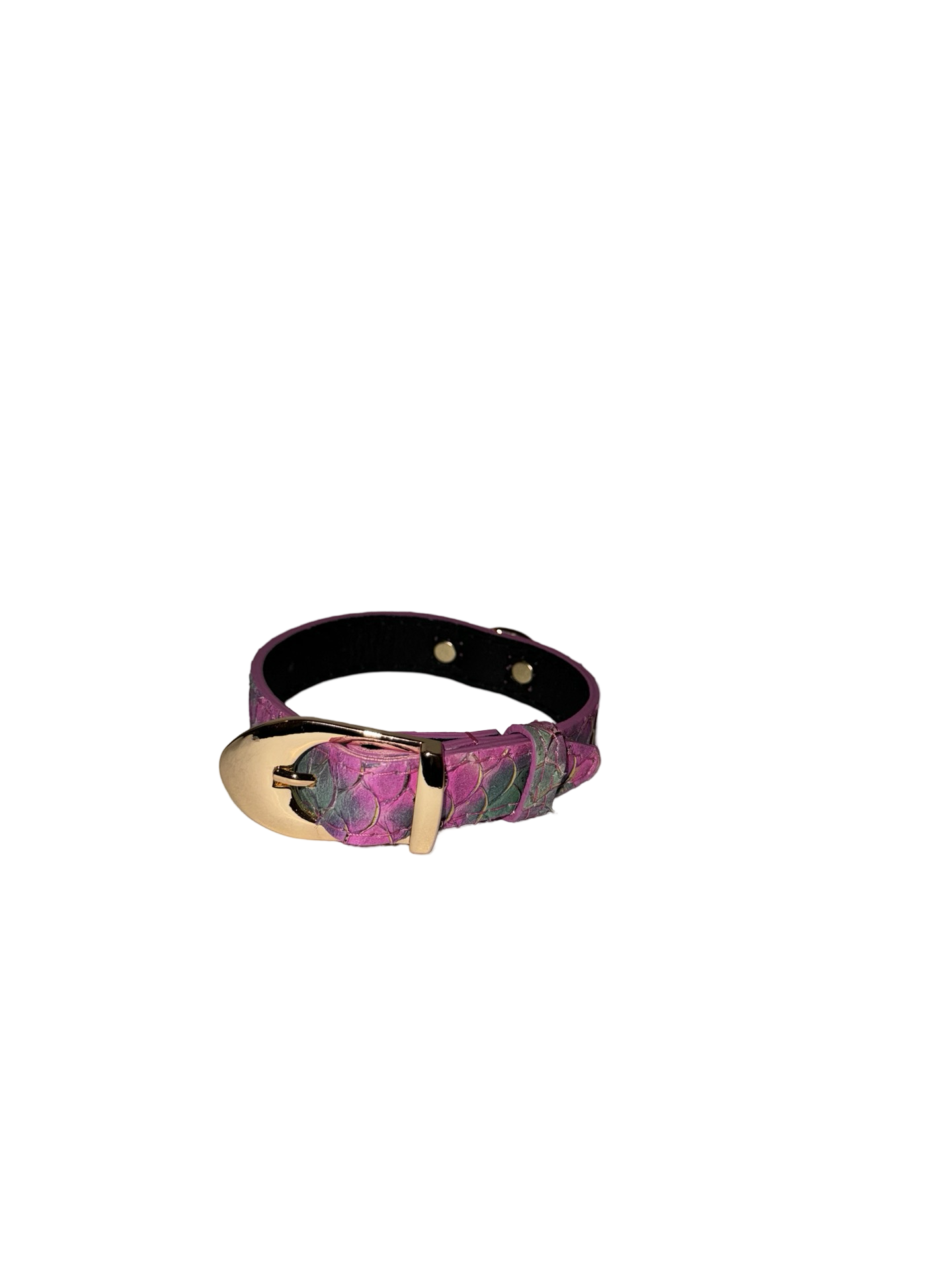 Allysa Payne Mermaid Collection XS Dog Collar