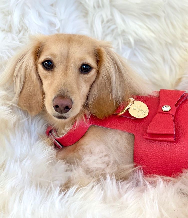 Harness - Melting Hearts