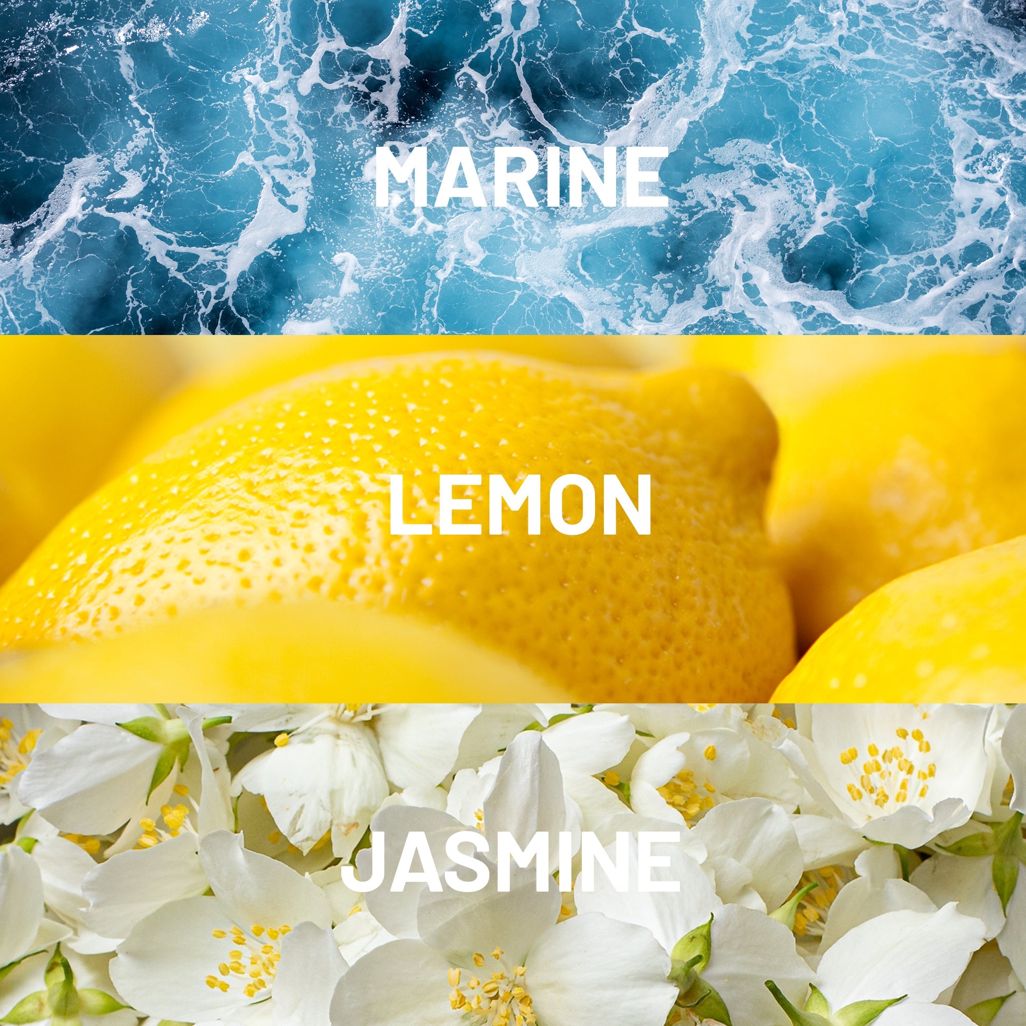 Hotel Collection Cabana Fragrance Oil