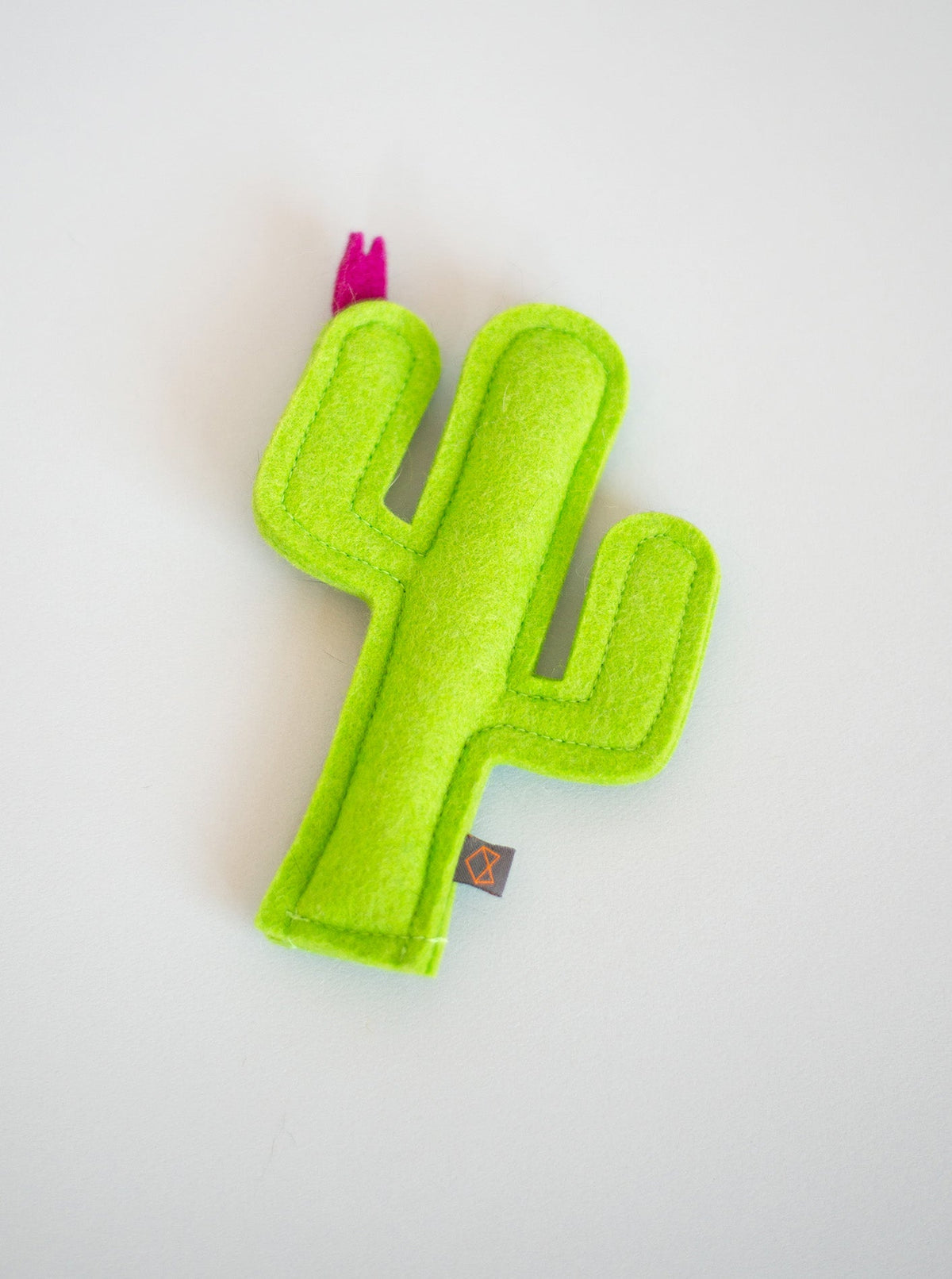 KITTY CACTUS - HT Animal Supply