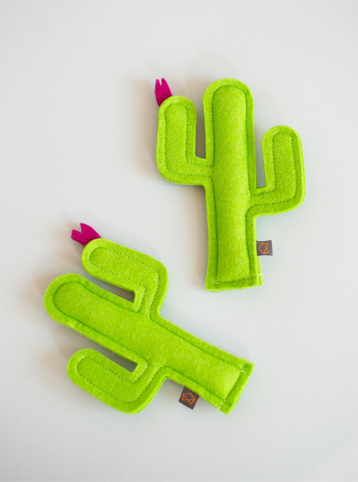KITTY CACTUS - HT Animal Supply