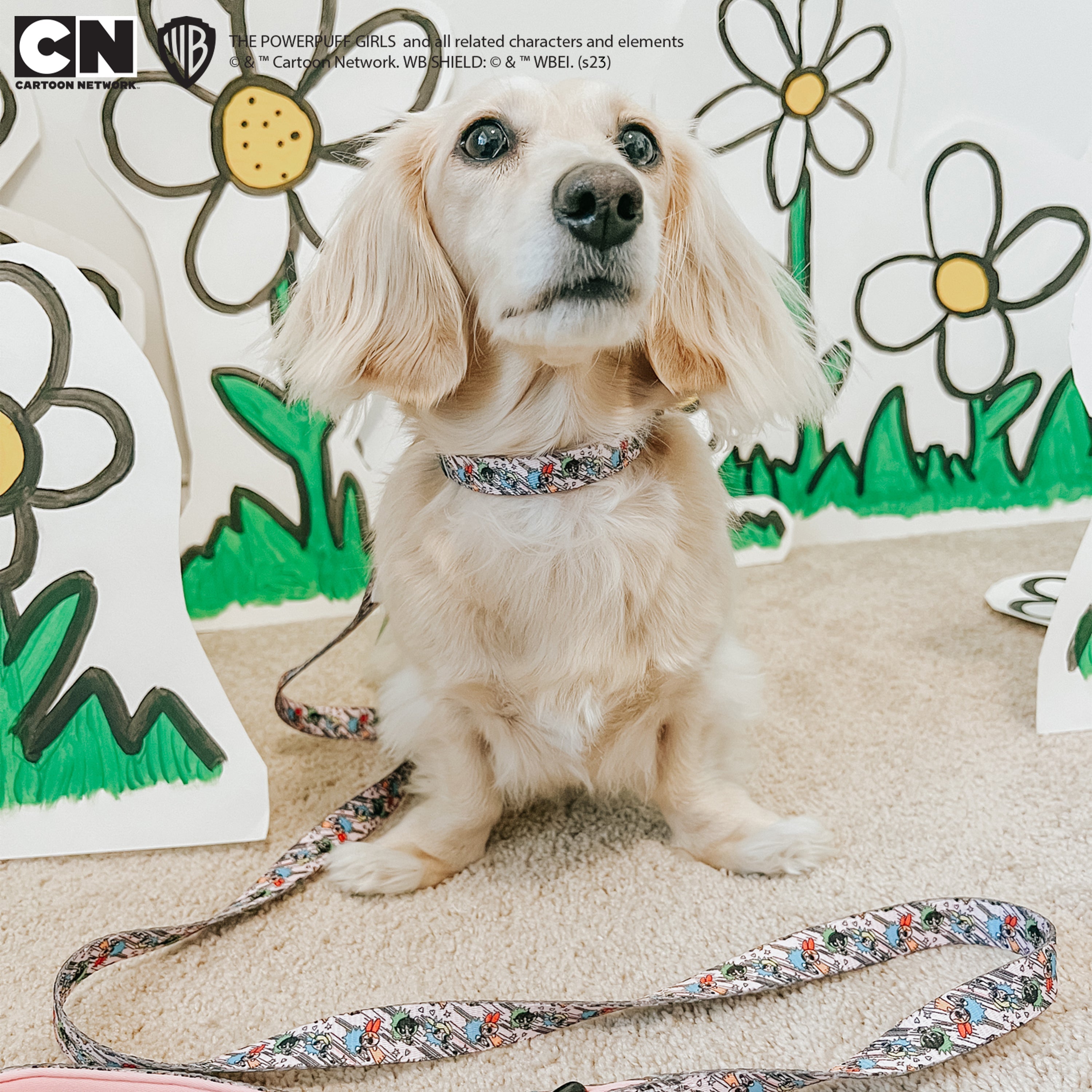 Dog Leash - The Powerpuff Girls™ (Pink)