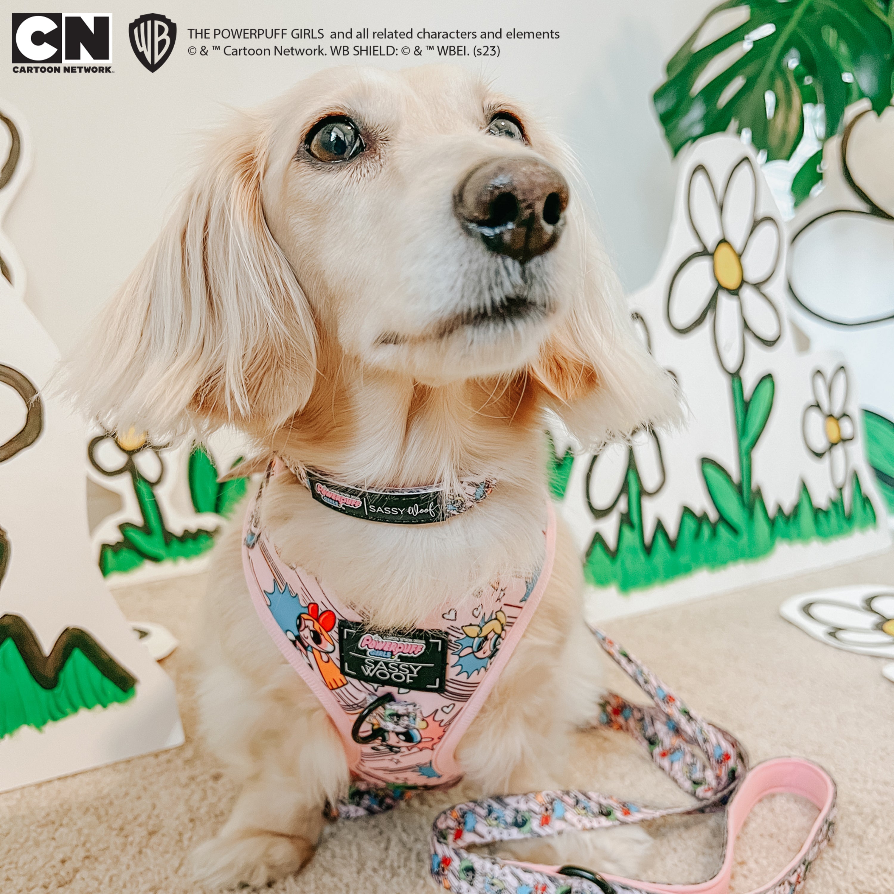 Dog Collar - The Powerpuff Girls™ (Pink)