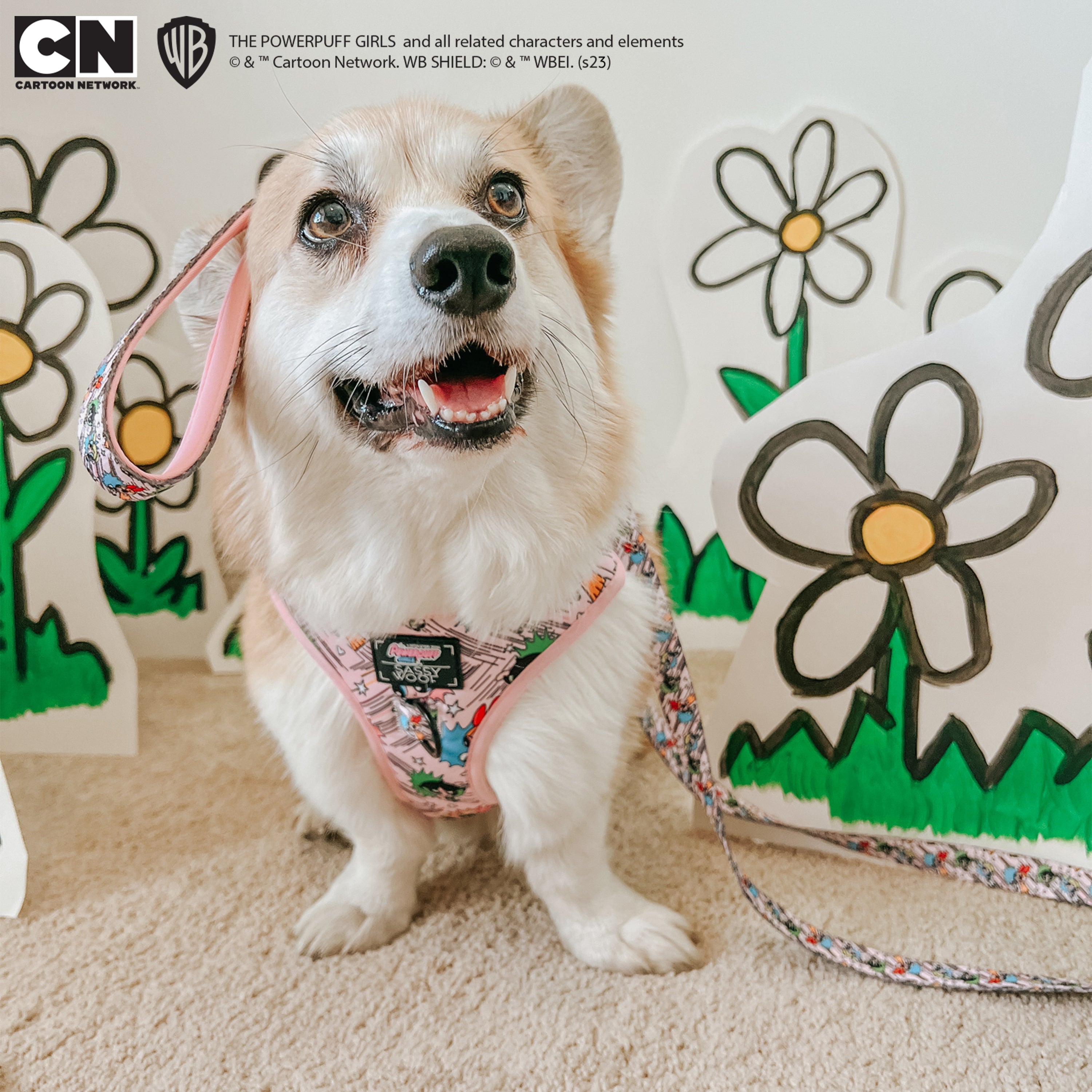 Dog Leash - The Powerpuff Girls™ (Pink)