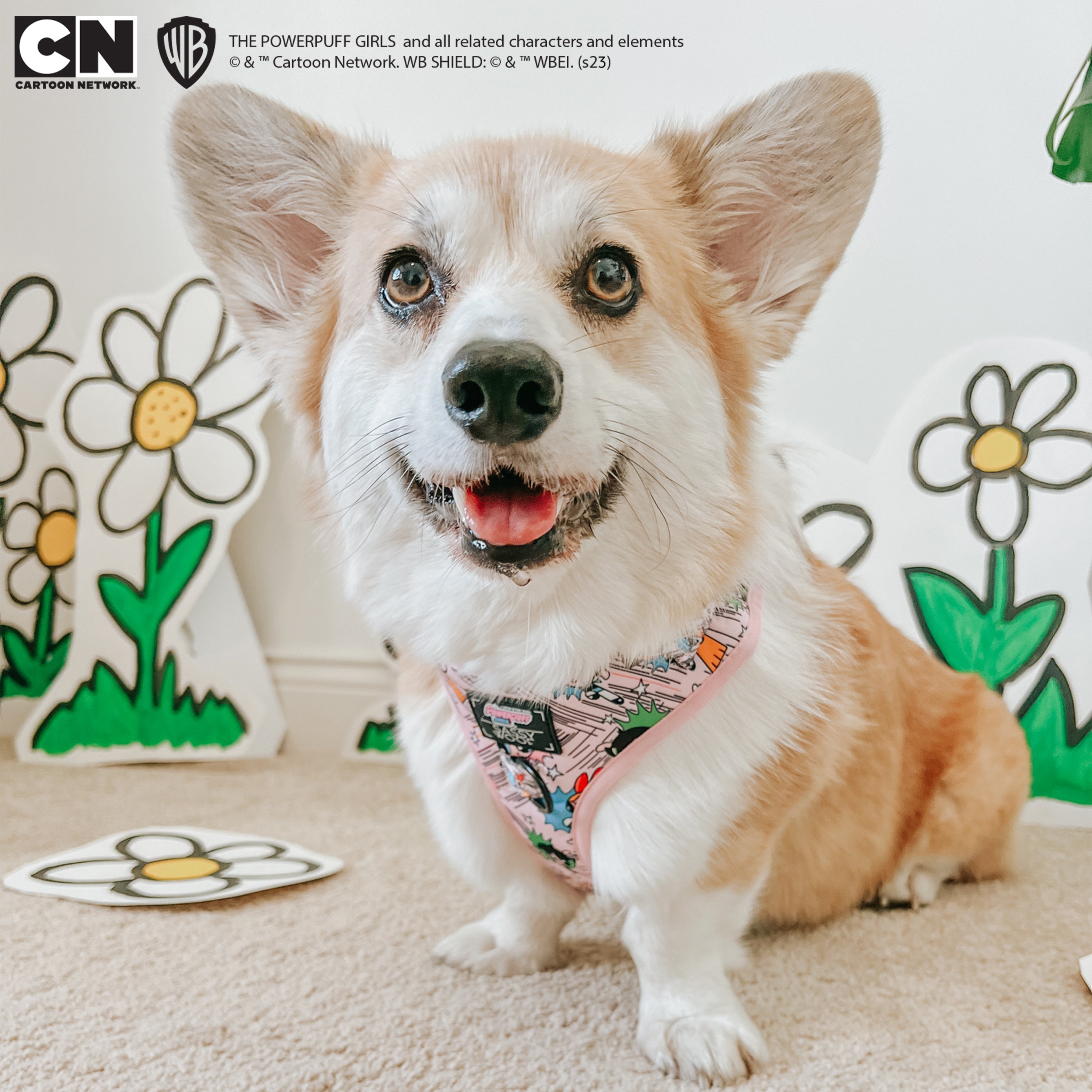 Dog Adjustable Harness - The Powerpuff Girls™ (Pink)