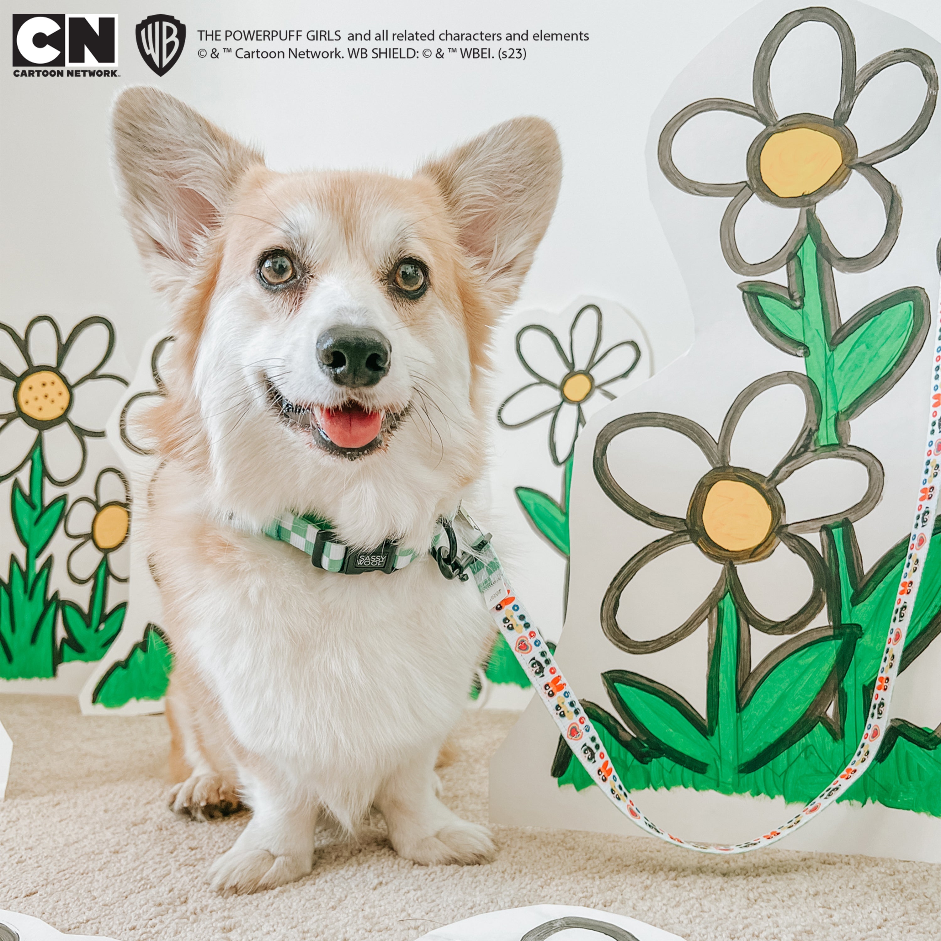 Dog Collar - The Powerpuff Girls™ (Green)