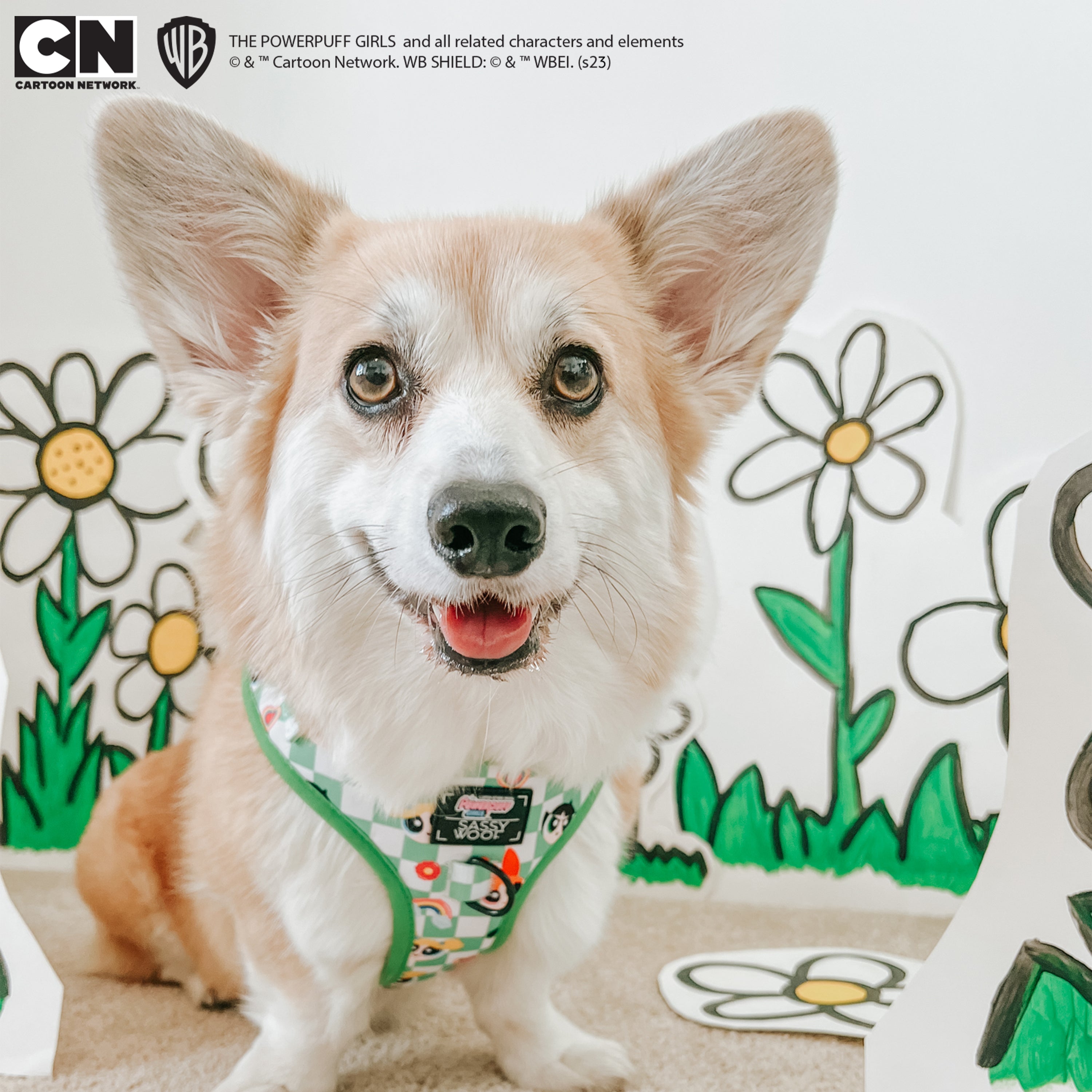 Dog Adjustable Harness - The Powerpuff Girls™ (Green)