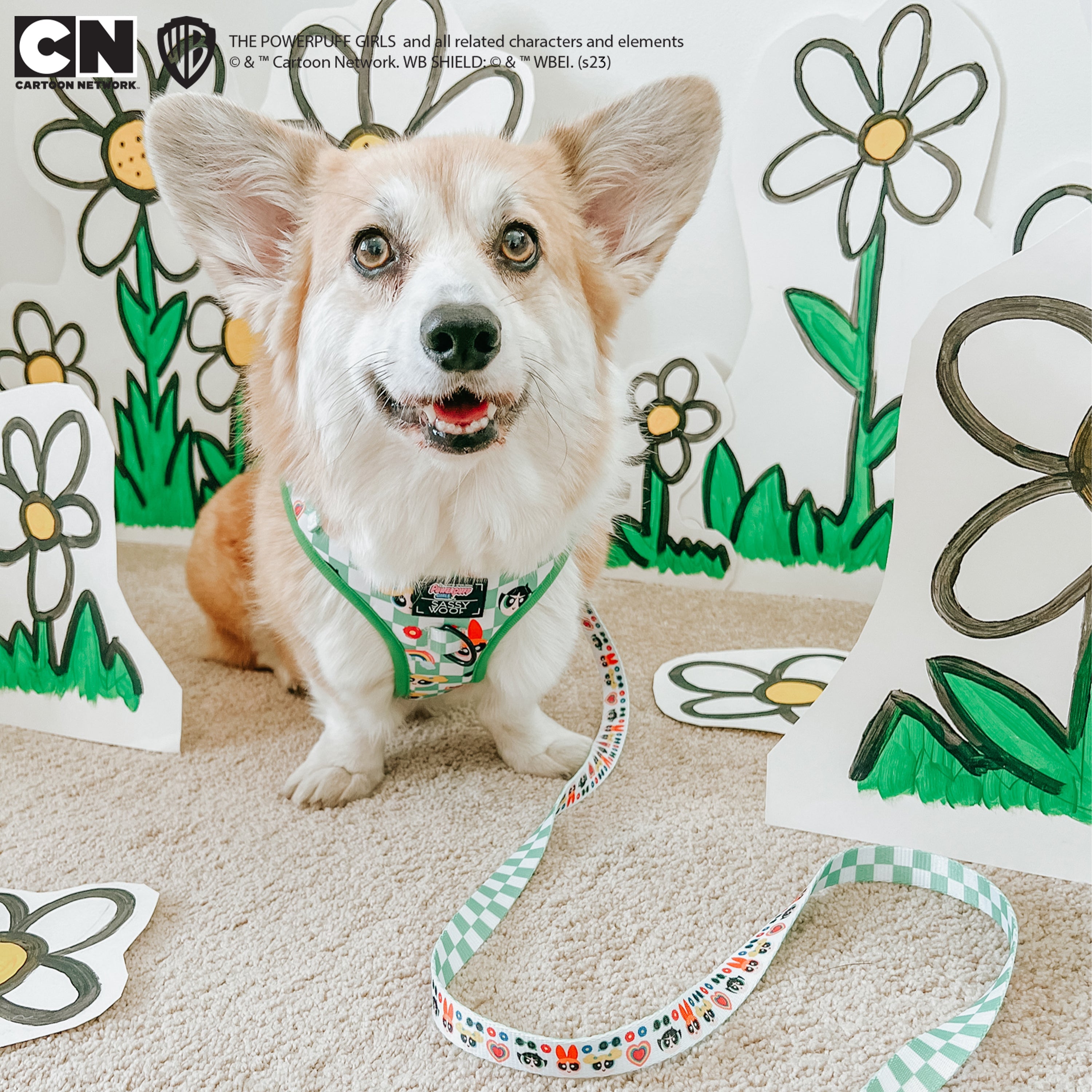 Dog Leash - The Powerpuff Girls™ (Green)
