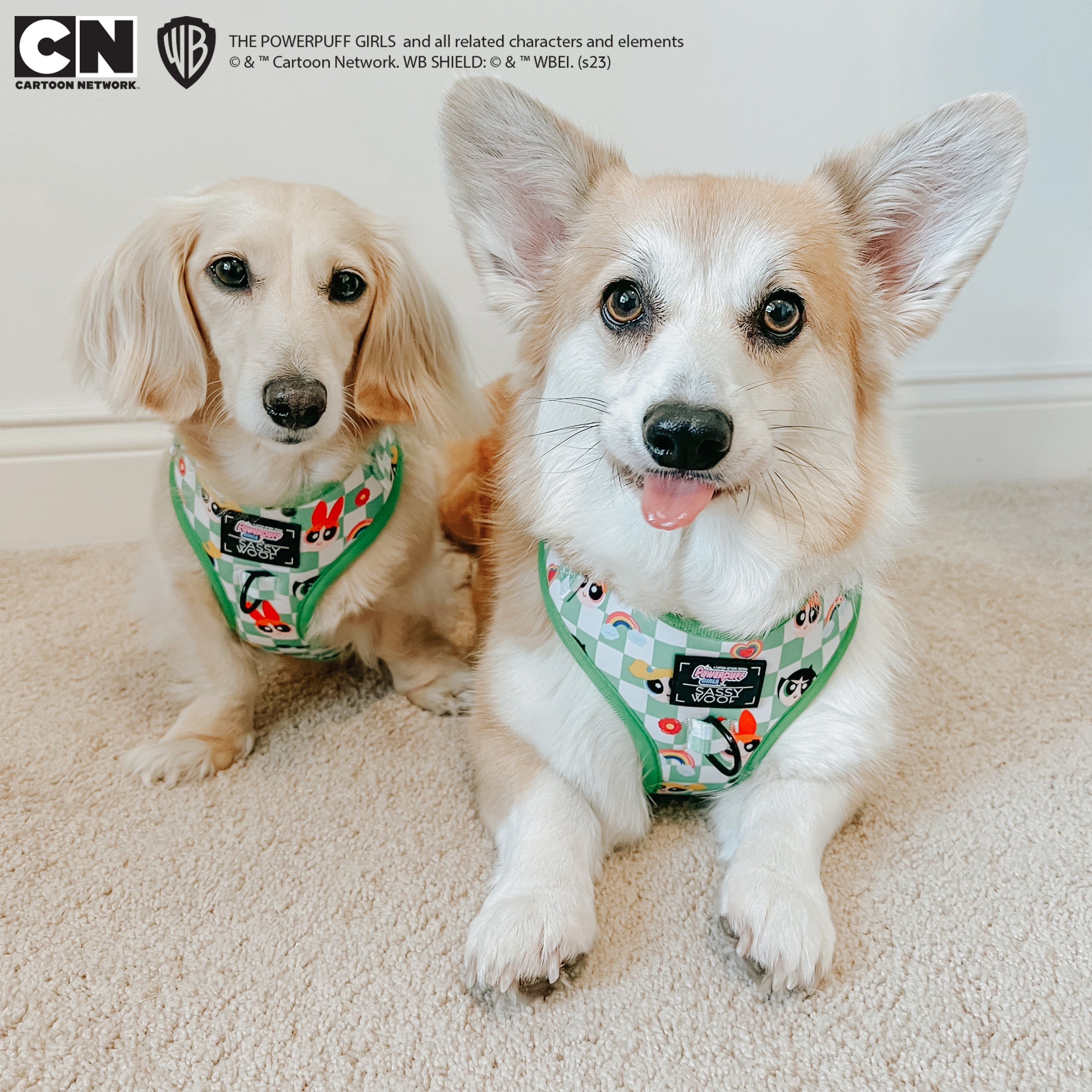 Dog Adjustable Harness - The Powerpuff Girls™ (Green)