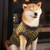 The Matcha | Olive Green Ribbed Knit Dog Sweater