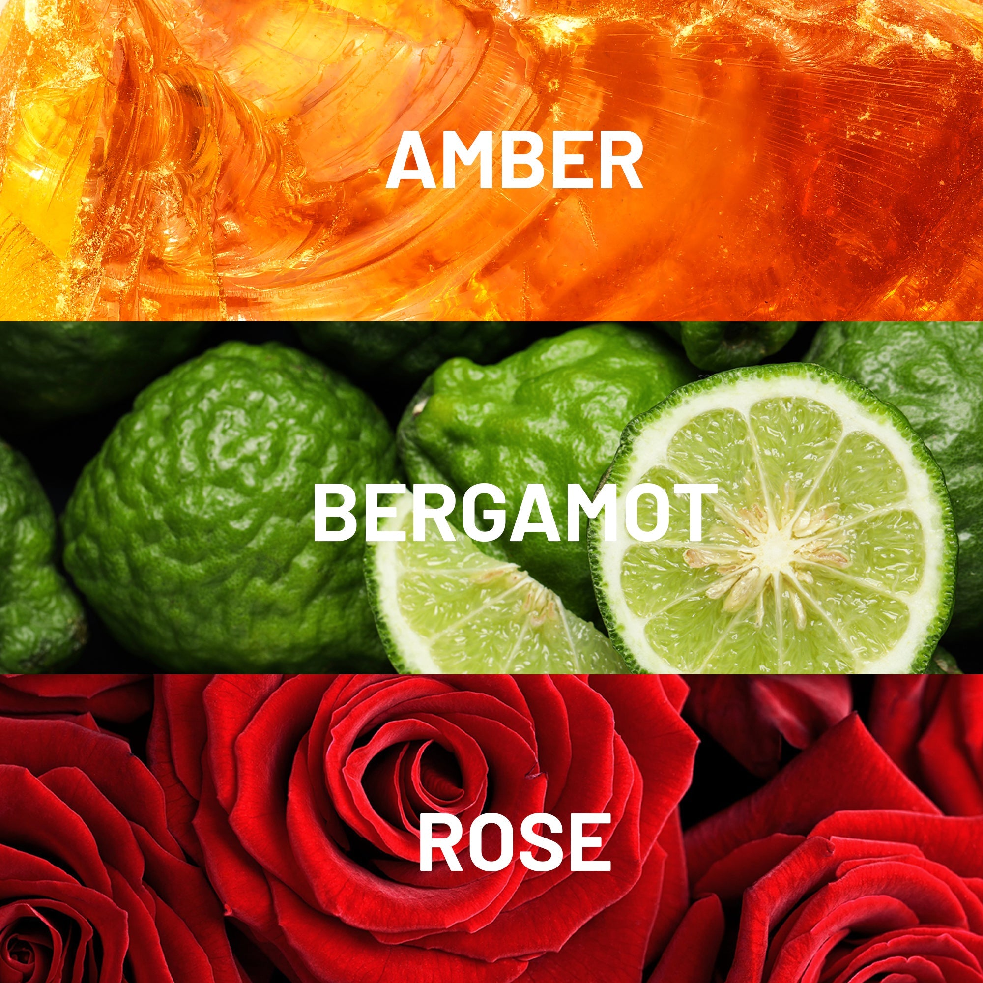 Hotel Collection Canyon Lodge Fragrance Oil